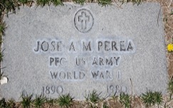 Jose Amado Perea